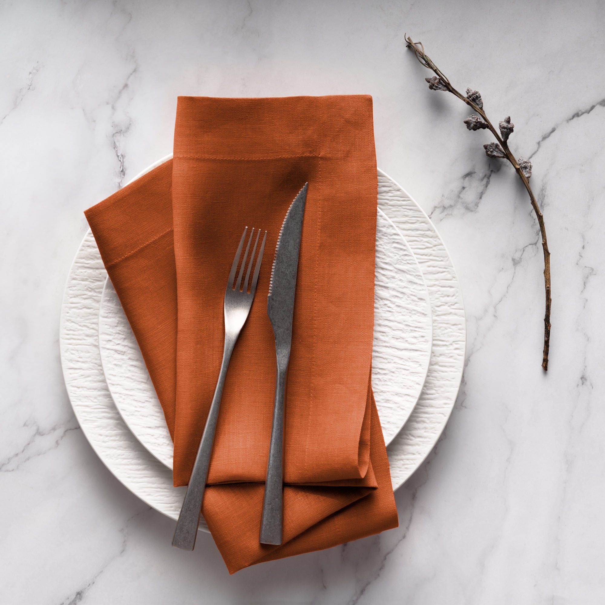 Aura Linen Napkins - Set of 4, 20 x 20 inch - Multiple Colors